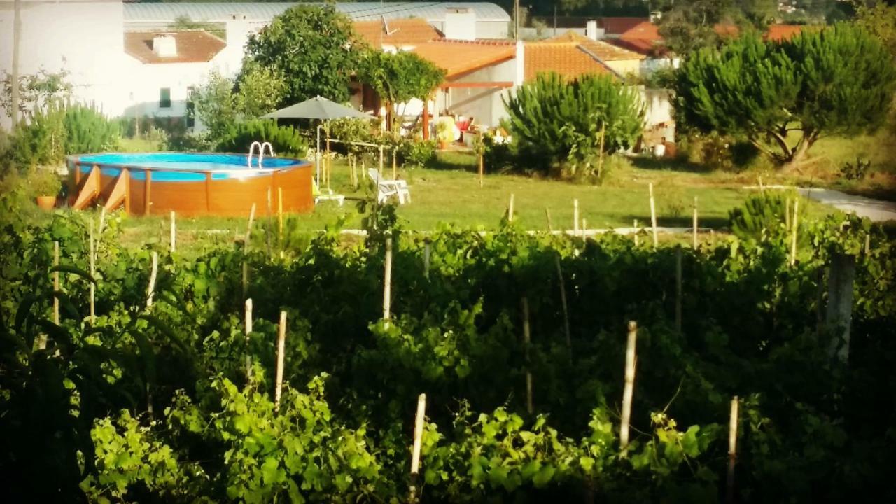 A Quinta da Estrelinha Quinta de Cavaleiros Exterior foto